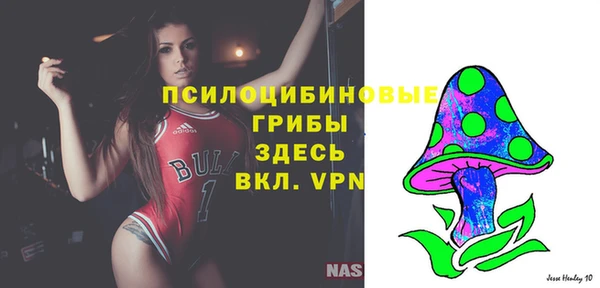 стафф Михайловск
