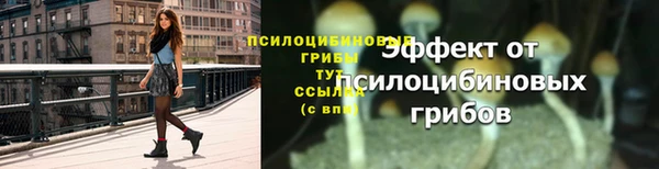 MESCALINE Абаза