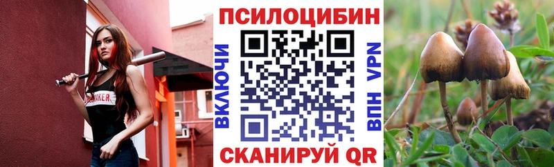 Псилоцибиновые грибы мицелий  где купить   Усмань 